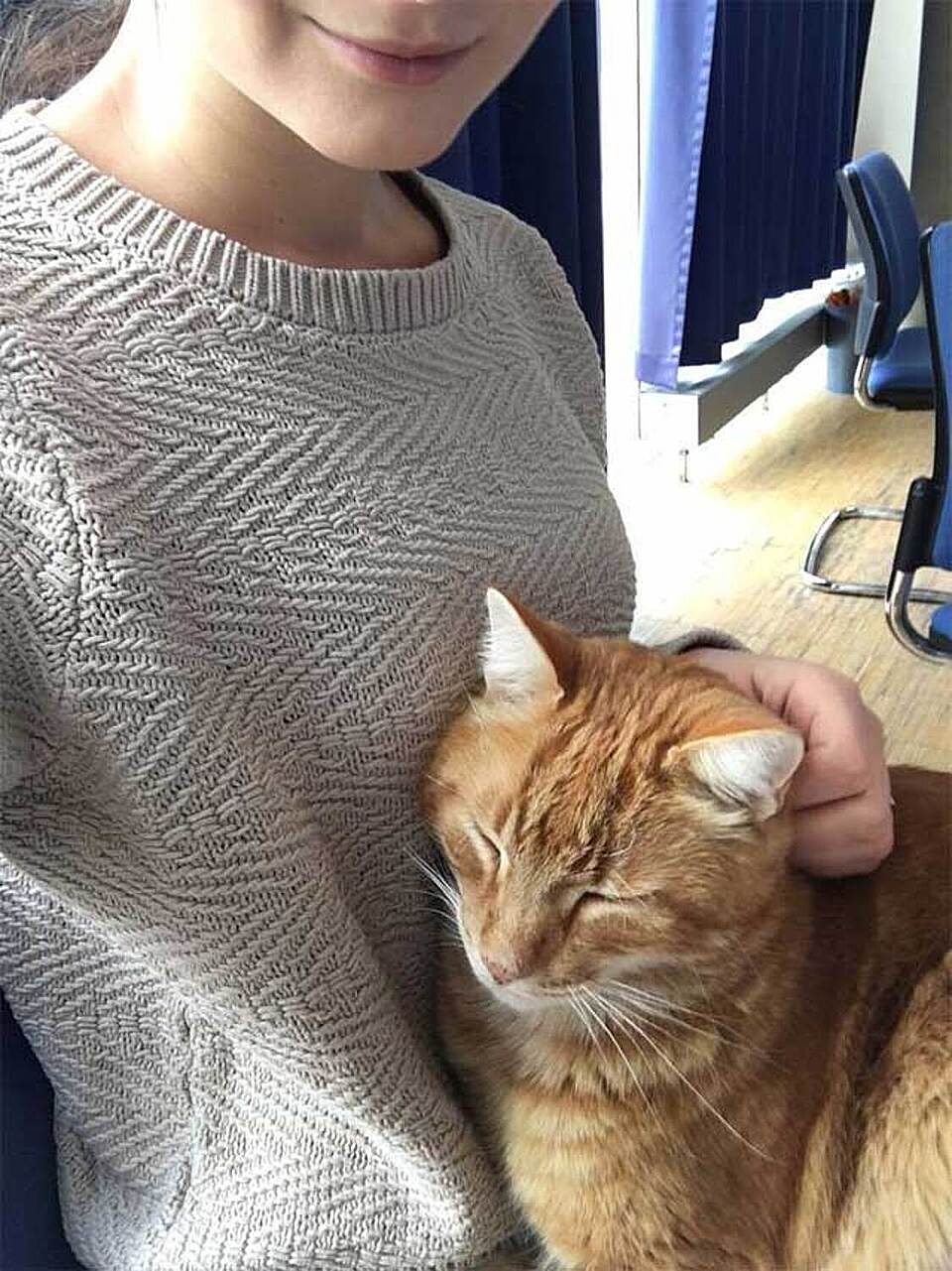 Via CampusCat / Facebook