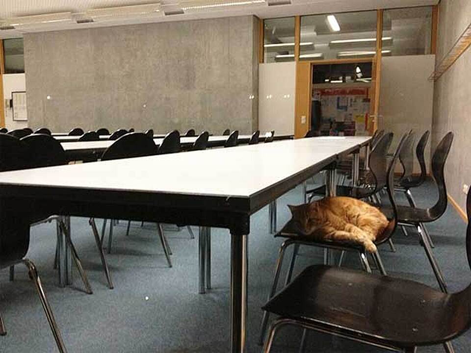 Via CampusCat / Facebook